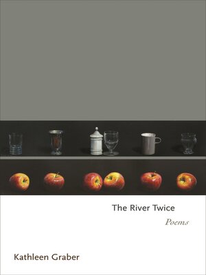 cover image of The River Twice